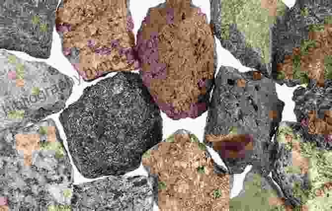 A Collection Of Diverse Rock Samples, Showcasing The Varied Textures, Colors, And Formations Found In The Earth's Crust. Rocks Gems And Minerals (Falcon Pocket Guides)