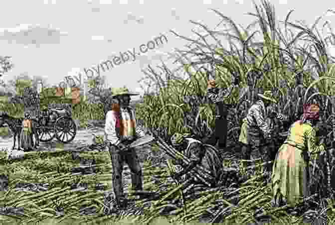 A Depiction Of Enslaved People Working On A Sugar Plantation In The Caribbean A Brief History Of The Caribbean: Indispensable For Travellers (Brief Histories)