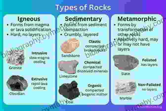 A Diagram Illustrating The Three Main Rock Types: Igneous, Sedimentary, And Metamorphic, Showcasing Their Distinct Formation Processes And Compositions. Rocks Gems And Minerals (Falcon Pocket Guides)