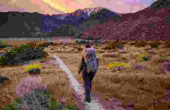 A Group Of Hikers Traversing A Scenic Trail Within An Eastern National Forest, Surrounded By Towering Trees And Lush Vegetation This Land: A Guide To Eastern National Forests