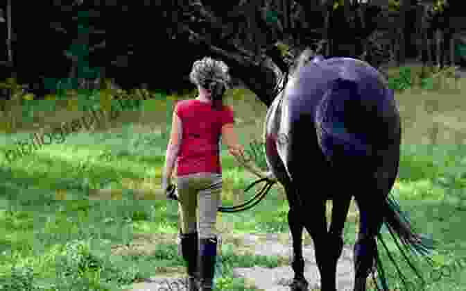 A Horse And Human Interacting In A Field, Highlighting The Importance Of Non Verbal Communication In Building A Bond. A Journey To Softness: In Search Of Feel And Connection With The Horse