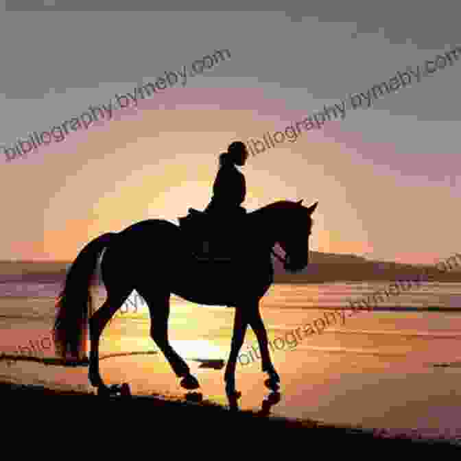 A Horse And Rider Silhouetted Against A Sunset, Symbolizing The Enduring Nature Of The Bond Between These Two Beings. A Journey To Softness: In Search Of Feel And Connection With The Horse