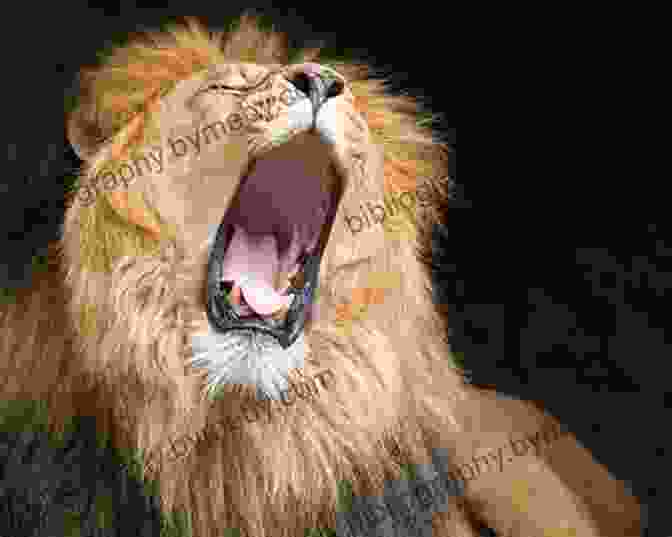 A Majestic Lion Roaring In The African Wilderness Ponies: Photos And Fun Facts For Kids (Kids Learn With Pictures 67)