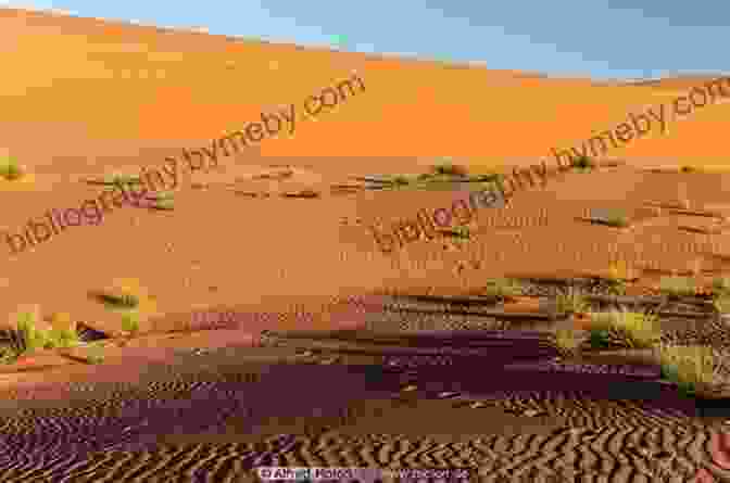 A Panoramic View Of A Vast Desert Landscape With Towering Sand Dunes And Sparse Vegetation. Desert: Nature And Culture (Earth)