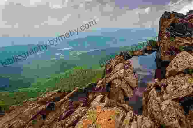 A Scenic View Of Shenandoah National Park, With A Meadow In The Foreground And Mountains In The Distance Shenandoah: A Story Of Conservation And Betrayal