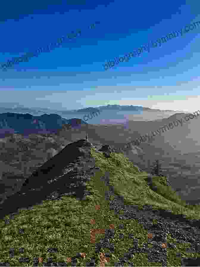 A View Of Saddle Mountain Trail, A Scenic Hiking Trail With Stunning Views Of Saddle Mountain And The Surrounding Forest Milwaukee In 3 Days (Travel Guide 2024) A Perfect 72 Hours Plan With The Best Things To Do In Milwaukee: Includes Google Maps Detailed Itinerary Secret Spots Full Cost Analysis