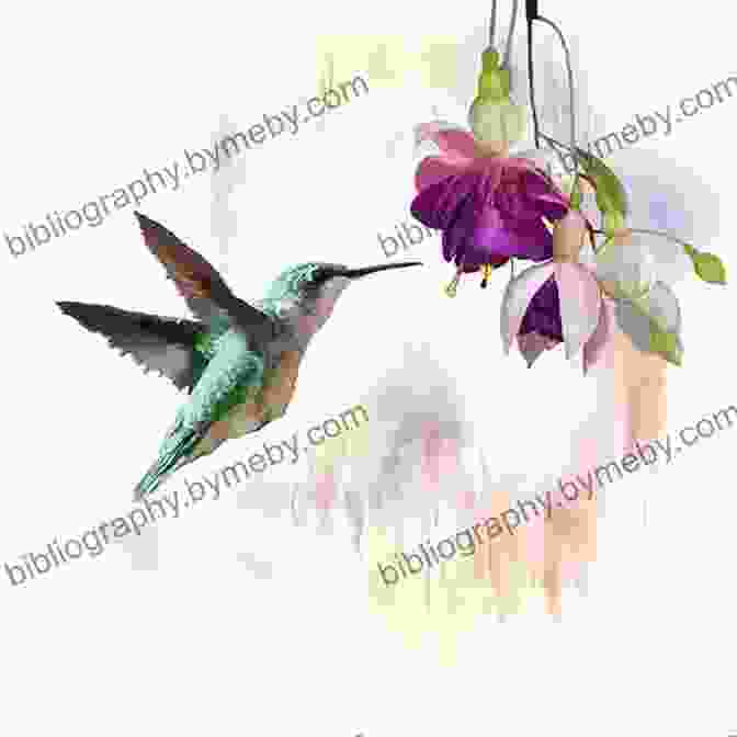 A Watercolor Painting Of A Hummingbird In Flight, Surrounded By Delicate Floral Patterns Geninne S Art: Birds In Watercolor Collage And Ink: A Field Guide To Art Techniques And Observing In The Wild