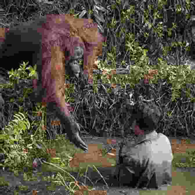 An Elderly Man And A Young Orangutan Holding Hands Dinner With Edward: The Story Of An Unexpected Friendship