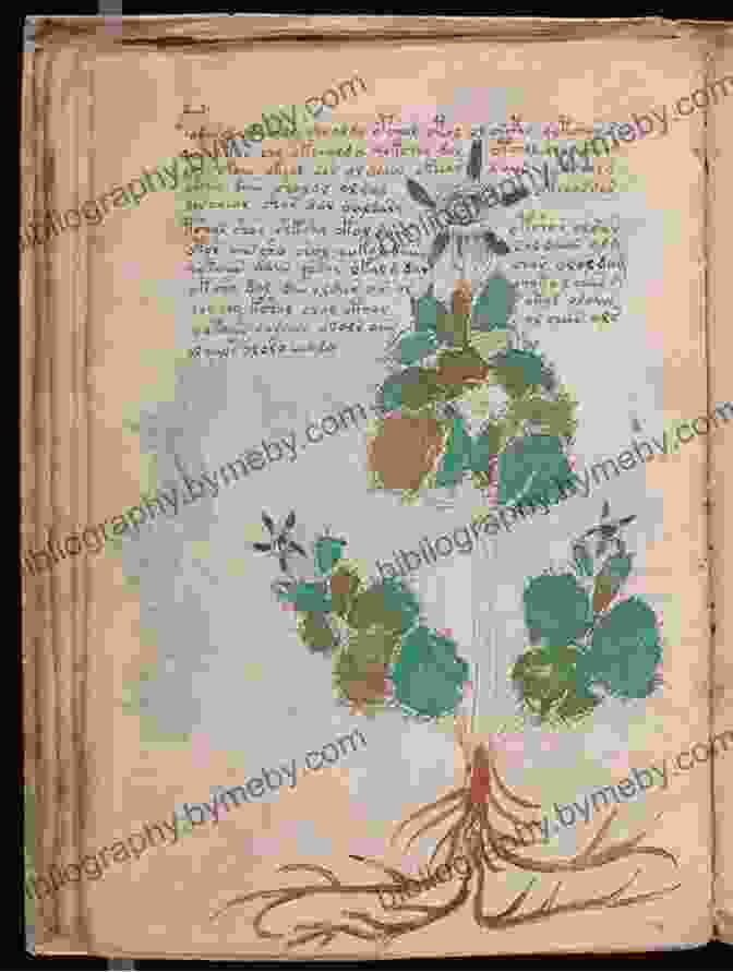 An Illustrated Page From The Enigmatic Voynich Manuscript, Authored By An Unknown Hand Cold Case: The Assassination Of Pat Garrett: Investigating History S Mysteries