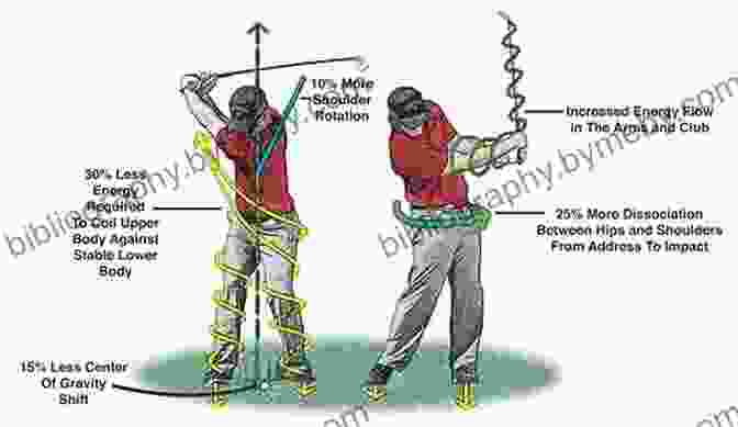 Biomechanics Of The Golf Swing: Muscle Activation And Bone Involvement The Science Of Golf: The Math Technology And Data