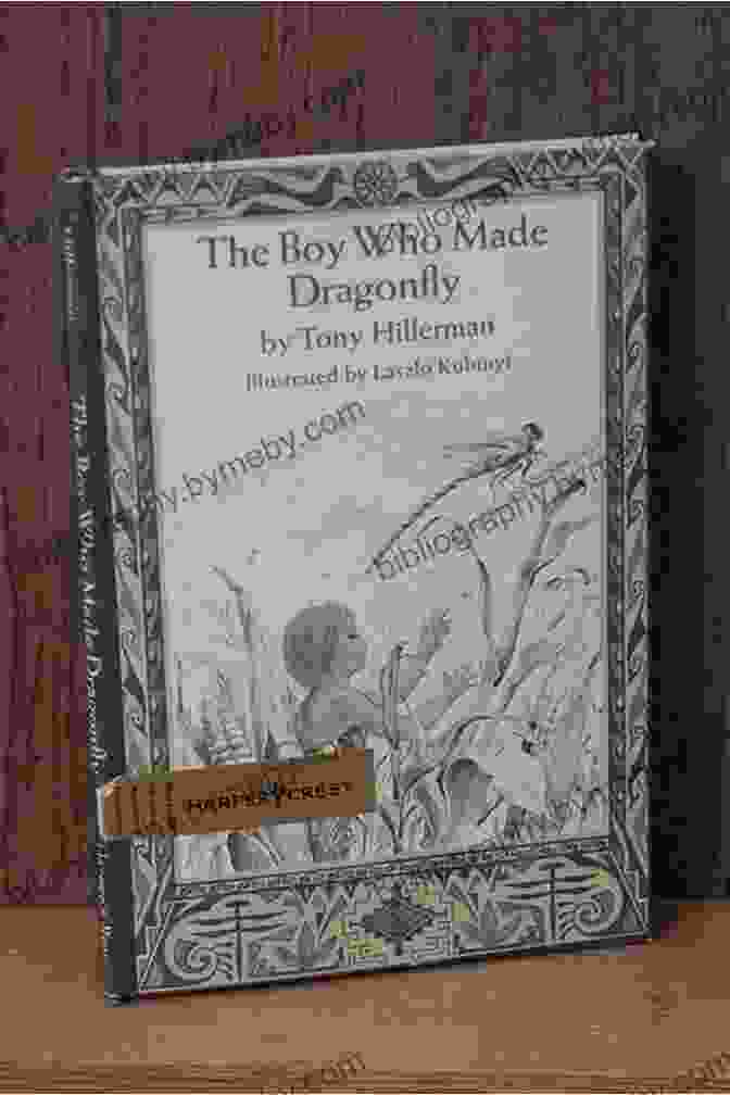 Book Cover Of 'The Boy Who Made Dragonfly': A Young Boy Holding A Dragonfly Against A Vibrant Sunset Background The Boy Who Made Dragonfly: A Zuni Myth