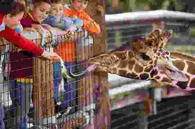 Children Interacting With Animals At A Conservation Center The Zoo Memoirs: A Zoo In My Luggage The Whispering Land And Menagerie Manor