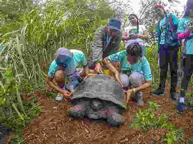 Conservation Efforts Are Underway To Protect The Galapagos Islands Galapagos Islands: A Different View