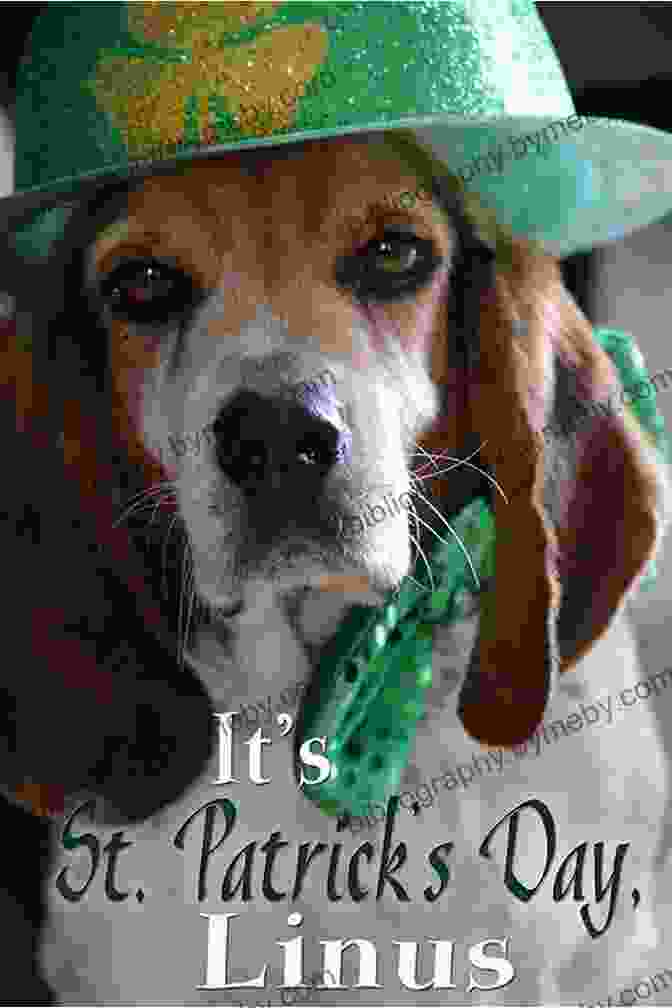 Cover Of 'It's St. Patrick's Day, Linus!' Easy Reader Picture Book It S St Patrick S Day Linus (Easy Reader/picture Book)