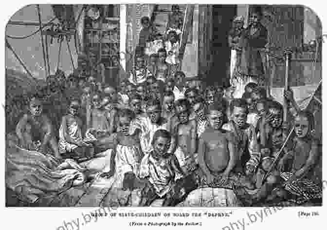 Engraving Depicting The Cramped And Inhumane Conditions Of The Middle Passage Lose Your Mother: A Journey Along The Atlantic Slave Route