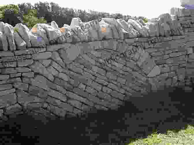 Explore The Rich Tapestry Of Local Traditions, Such As Dry Stone Walling And Traditional Festivals The Other Side Of The Dale (The Dales 1)