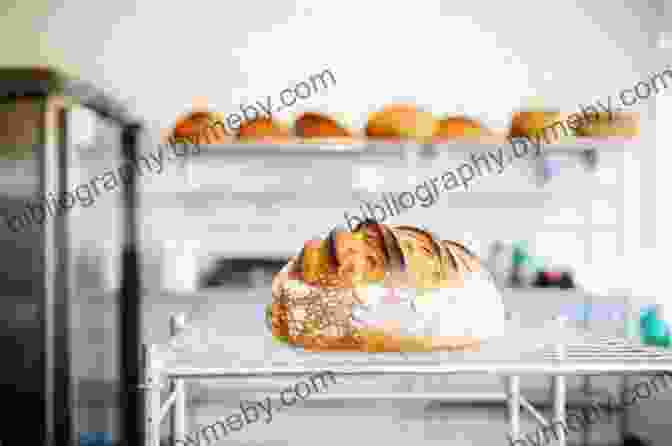 Golden Brown Sourdough Loaves Cooling On A Wire Rack Favorites Tartine Cookbook For Everyone: 68 All New Recipes + 55 Updated Favorites