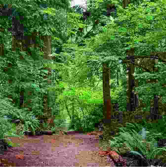 Hike Through A Lush Forest The Best American Science And Nature Writing 2024 (The Best American Series)