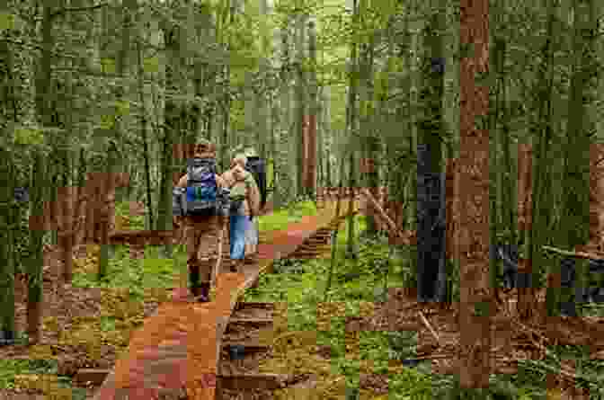 Hiker Enjoying A Scenic Trail Rail Trails Washington Oregon Rails To Trails Conservancy