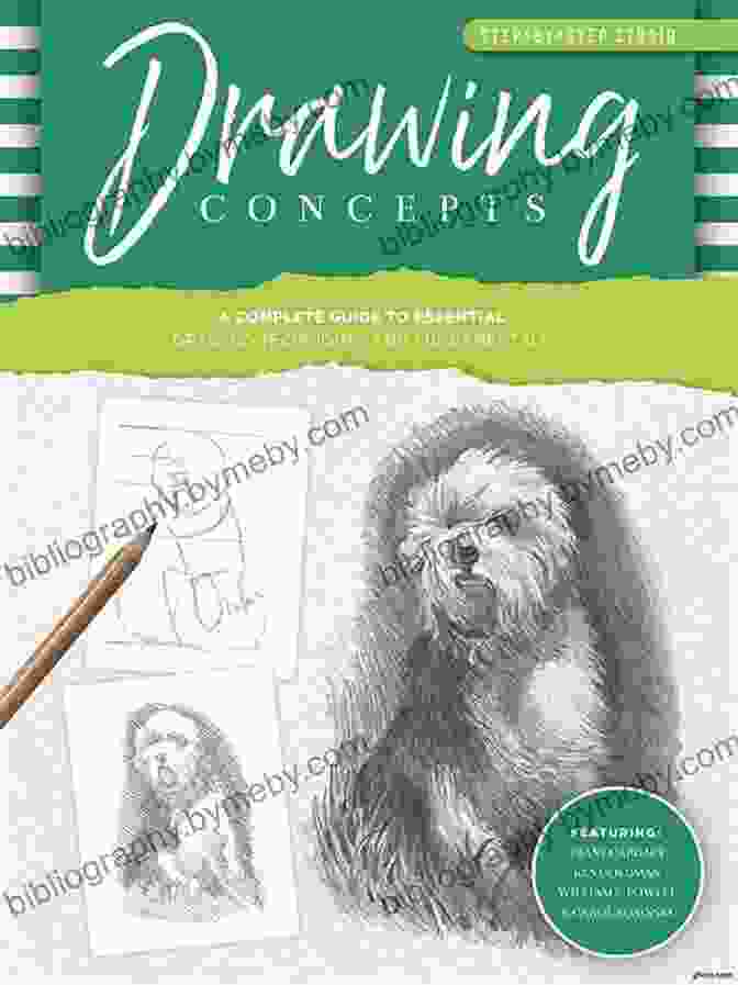 Illustrations Drawing Ideas Books: A Comprehensive Guide To Drawing Techniques, Concepts, And Styles For Artists Of All Levels ILLUSTRATIONS / DRAWING IDEAS BOOKS: AMAZING ILLUSTRATION IDEAS