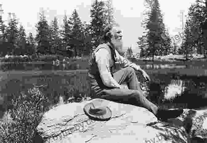 John Muir Sitting Amidst A Grove Of Ancient Trees, Contemplating The Wonders Of The Great Divide Be Brave Be Strong: A Journey Across The Great Divide