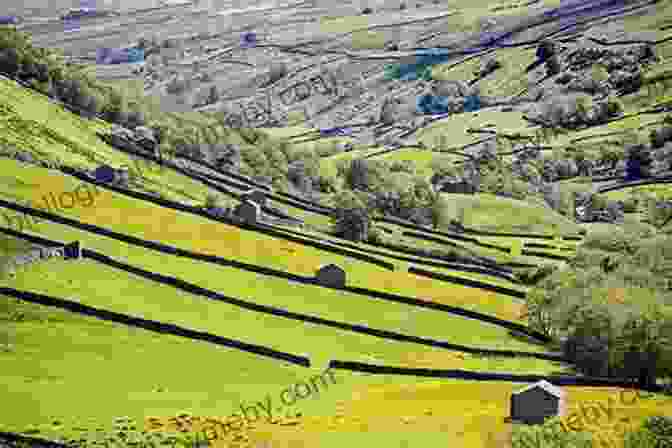 Local People Smiling And Enjoying The Yorkshire Dales Head Over Heels In The Dales (The Dales 3)