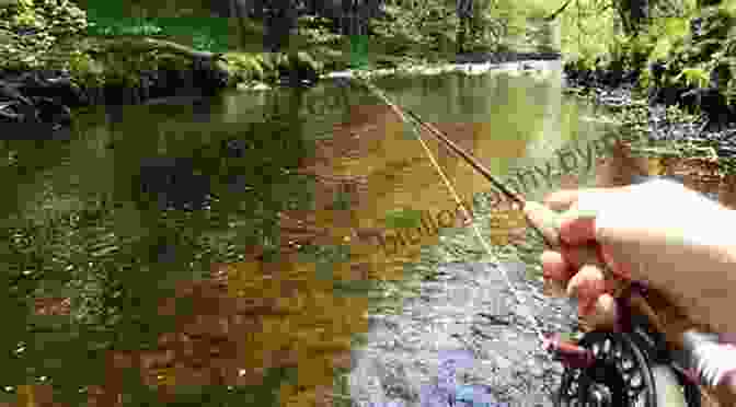 Nymph Fishing In A River Nymph Fishing: New Angles Tactics And Techniques