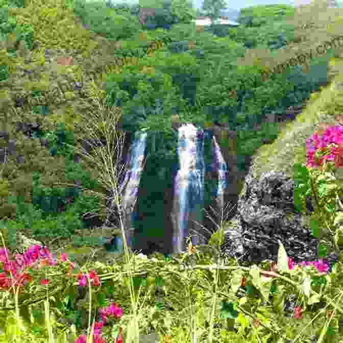 Opaekaa Falls, Kauai Kauai Brief: Quickly Master What You Need To See And Do On The Island Of Kauai (Vacation Briefs 1)