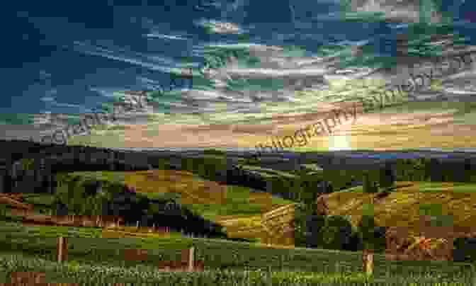 Panoramic View Of A Vast Frontier Landscape, With Rolling Hills, Sparse Trees, And Distant Mountains. History Of The Frontier Gayle Jessup White