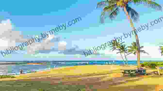 Poipu Beach, Kauai Kauai Brief: Quickly Master What You Need To See And Do On The Island Of Kauai (Vacation Briefs 1)