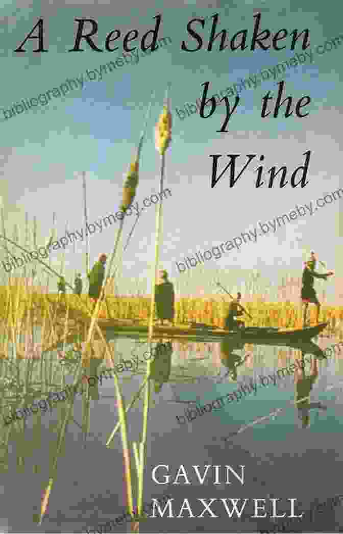 Reed Shaken By The Wind By Alessandra Torre A Reed Shaken By The Wind: Travels Among The Marsh Arabs Of Iraq