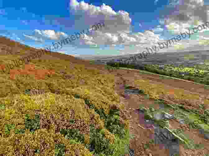 Stunning Landscape Of The Yorkshire Dales, Showcasing Rolling Hills And Tranquil Rivers The Other Side Of The Dale (The Dales 1)