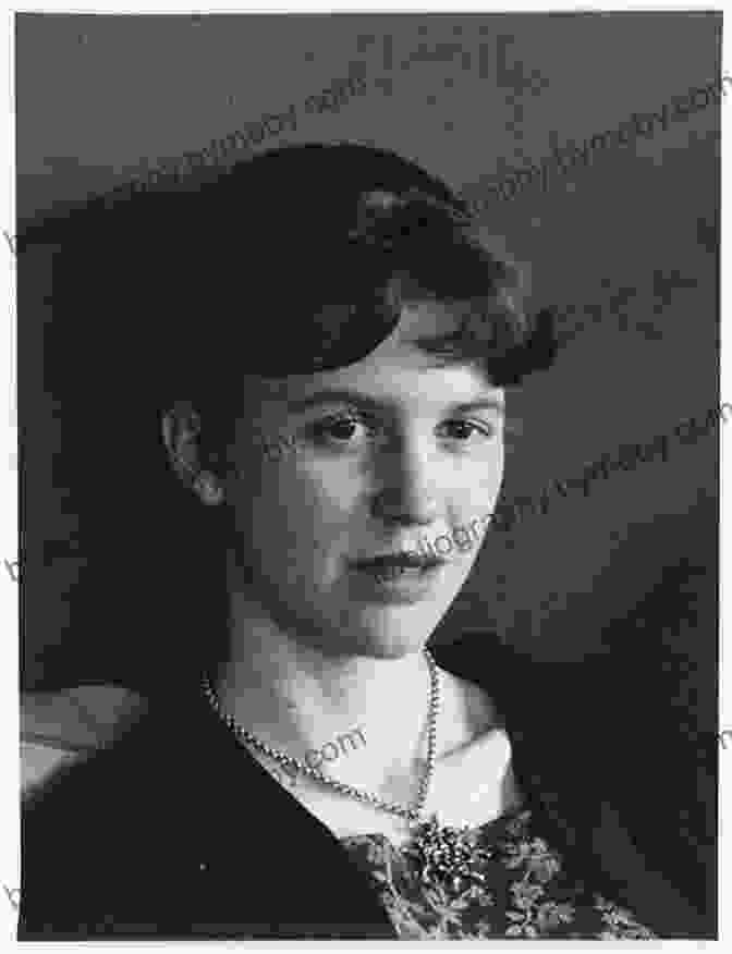 Sylvia Plath The Fading Smile: Poets In Boston From Robert Frost To Robert Lowell To Sylvia Plath