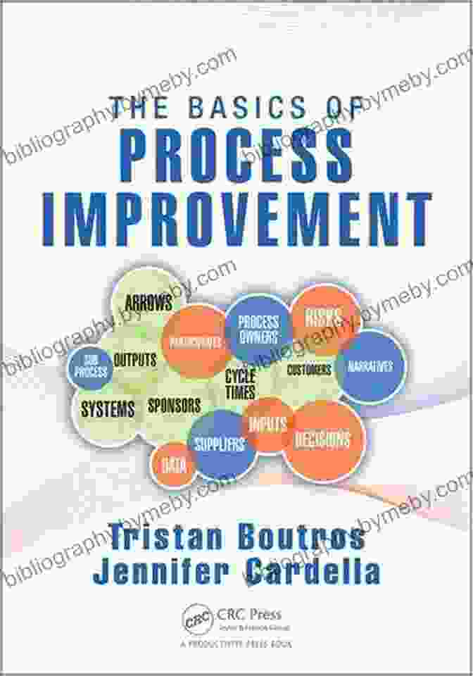 The Basics Of Process Improvement Book Cover The Basics Of Process Improvement