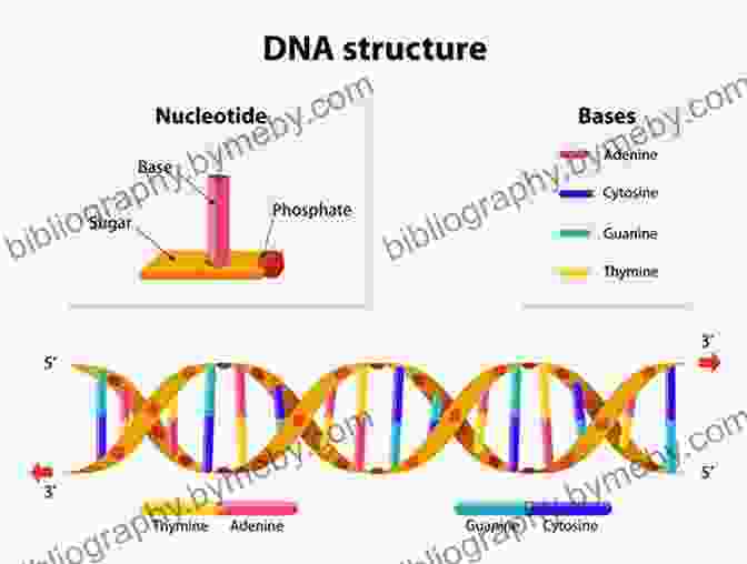 The Discovery Of The Structure Of DNA, A Groundbreaking Revelation In Genetics Ten Discoveries That Rewrote History