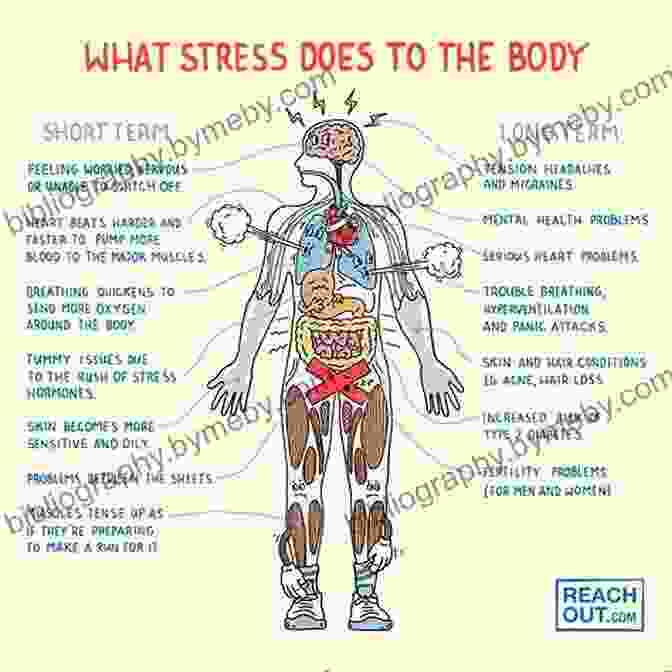 The Physiological Effects Of Pressure On The Human Body Don T Choke: A Champion S Guide To Winning Under Pressure