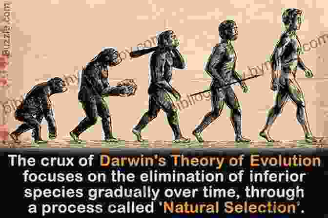 The Theory Of Evolution, A Groundbreaking Discovery That Challenged Traditional Beliefs Ten Discoveries That Rewrote History