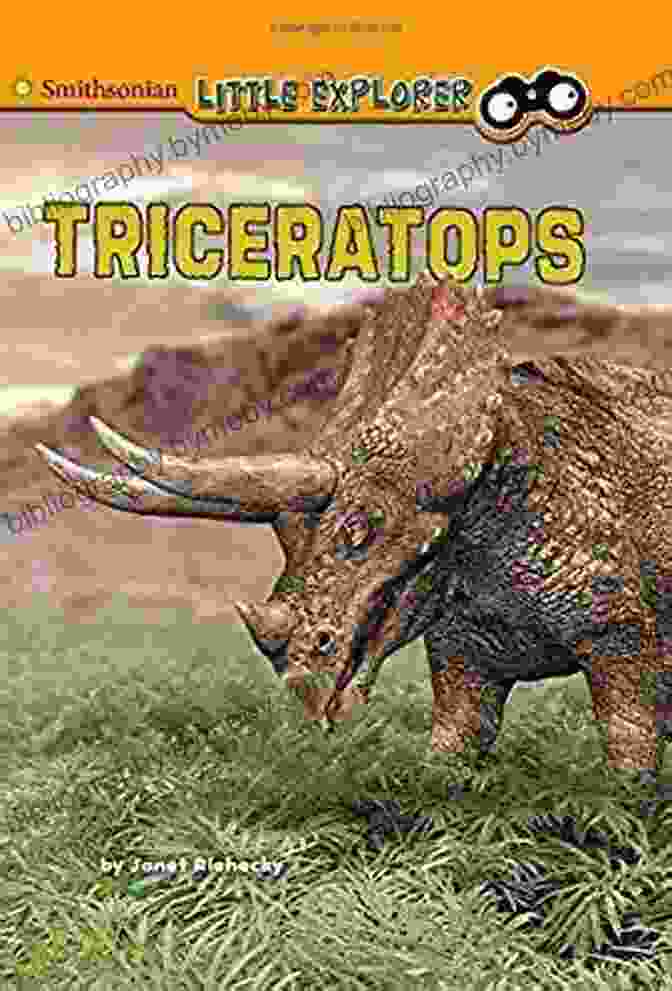 Triceratops Little Paleontologist Book Cover Triceratops (Little Paleontologist) Janet Riehecky