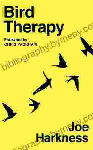 Bird Therapy Joe Harkness