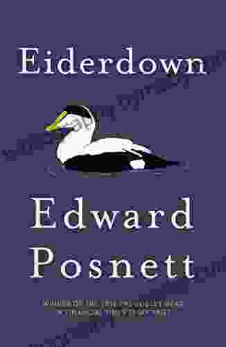 Eiderdown Manfred Basedow