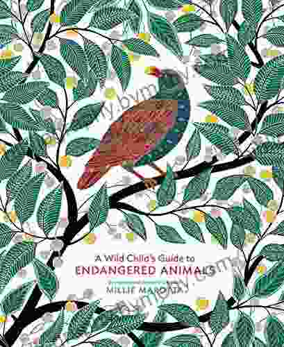 A Wild Child S Guide To Endangered Animals: (Endangered Species Wild Animal Guide About Animals Plant And Animal Animal Art Books)