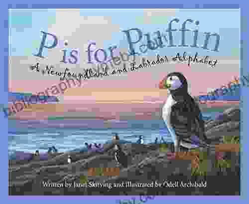 P Is For Puffin: A Newfoundland And Labrador Alphabet (Discover Canada Province By Province)