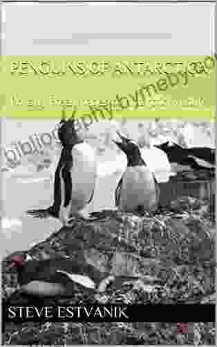 Penguins Of Antarctica: Royalty Free Images Of Antarctic Wildlife