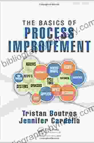 The Basics of Process Improvement