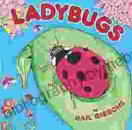 Ladybugs Gail Gibbons